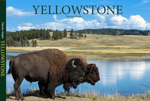 Yellowstone.