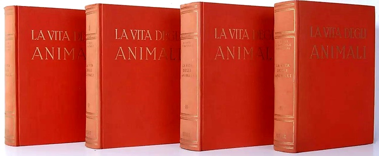 Ghigi,A. Raffaele,F. Pasquini,P. Raffaele,F. - La vita degli animali. Vol.I: La vita del mare. Vol.I