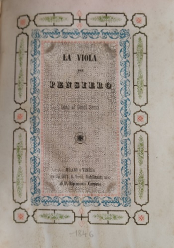 -- - La viola del pensiero. Dono al gentil sesso.