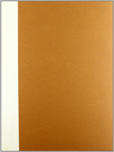 Landi,M. Spadolini,G. Camerani,S.e altri. - Banca C.Steinhauslin e C.1868-1968. Cento anni di attivit.