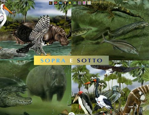 Bertolucci,Cristiano. Milo,Francesco. - Sopra e sotto. Sopra e sotto il pelo dell'acqua di un grande fiume, di uno stagno, del mare aperto, di una costa oceanica, di una foresta di mangrovie.