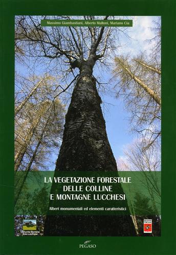 Giambastiani,Massimo.Maltoni, Alberto. Cia,Mariano. - La vegetazione forestale delle colline e montagne lucchesi. Alberi monumentali ed elementi caratteristici.