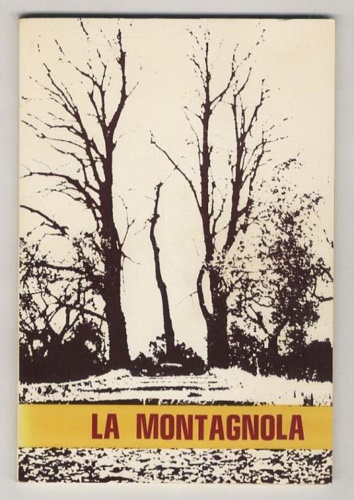 Catalogo della mostra fotografica: - La tomba della Montagnola.