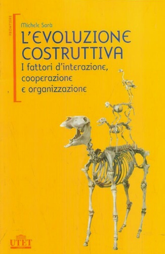 Sar,Michele. - L' evoluzione costruttiva. I fattori d'interazione, cooperazione e organizzazione.