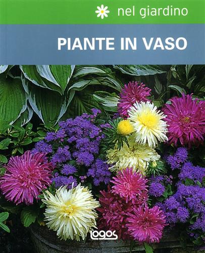 -- - Piante in vaso.