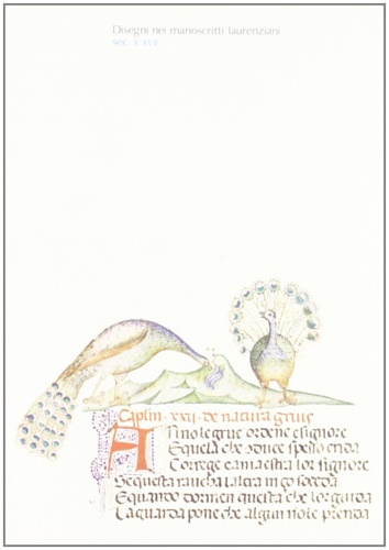Catalogo della Mostra: - Disegni nei manoscritti laurenziani sec.X-XVII.