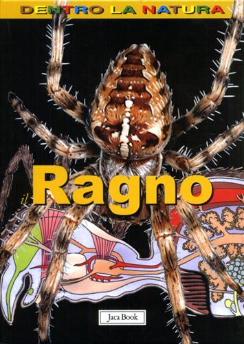 Houghton,Gillian. - Il ragno.