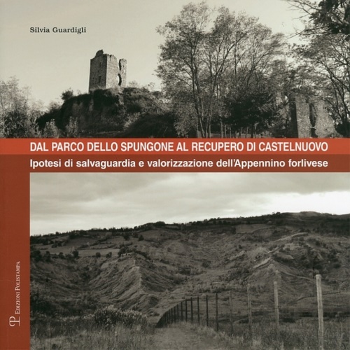 Guardigli,Silvia. - Dal parco dello Spungone al recupero di Castelnuovo. Ipotesi di salvaguardia e valorizzazione dell'Appennino forlivese.