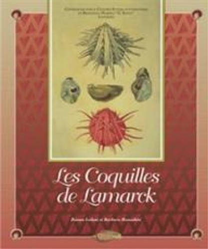 Isolani Manachini,Bianca. Manachini, Barbara. - Le coquilles de Lamarck.