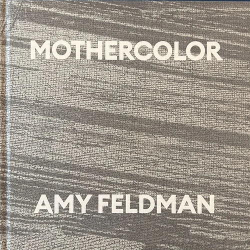 Catalogue of the exhibition: - Mothercolor. Amy Feldman. Text by Gesine Borcherdt, Vitt