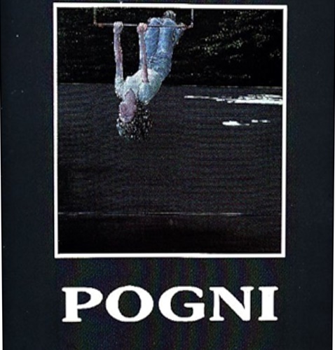 Catalogo della Mostra: - Gianfranco Pogni.