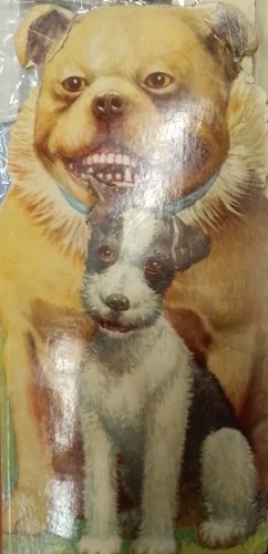 -- - Piccole storie di cani.