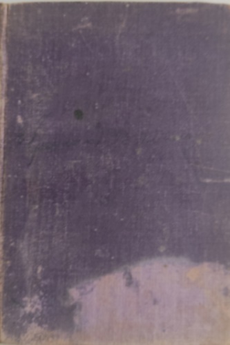 Morandi,L. Cappuccini,G. - Grammatica italiana (regole ed esercizi) per uso delle scuole ginnasiali, tecniche e normali.