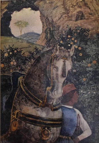 Catalogo della Mostra: - Andrea Mantegna.