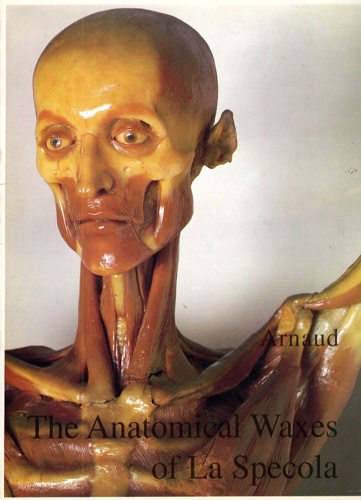 Hilloowala,Rumy. Lanza,Benedetto. Poggesi,Marta. MArtelli, Antonio e altri. - The anatomical waxes of la Specola.