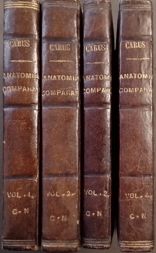 Carus, Carl Gustav. - Trattato elementare di anatomia comparata, seguito da ricerche di anatomia filosofica o trascendente sulle parti primarie del sistema nervoso e dello scheletro interno ed esterno. Tradotto dal tedesco sulla sed