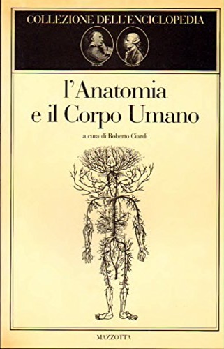-- - L'anatomia e il Corpo Umano.