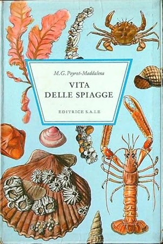 Maddalena-Peyrot, M. G. - Vita delle spiagge.