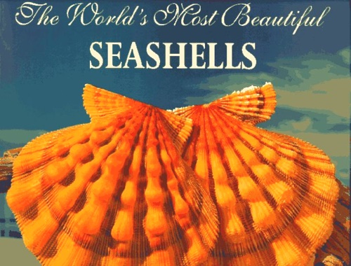 Hill, Leonard C. - The World's Most Beautiful Seashells.