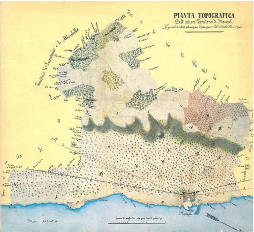 L'immagine e il progetto. Il territorio comunale in terra di Bari nel XVIII e XI