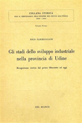 Gli stadi dello sviluppo industriale nella provincia di Udine.