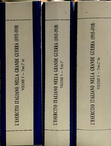 L'Esercito Italiano nella Grande Guerra 1915-1918. Vol.V, Le operazioni del 1918