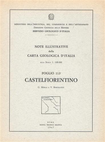 Castelfiorentino. foglio 113.