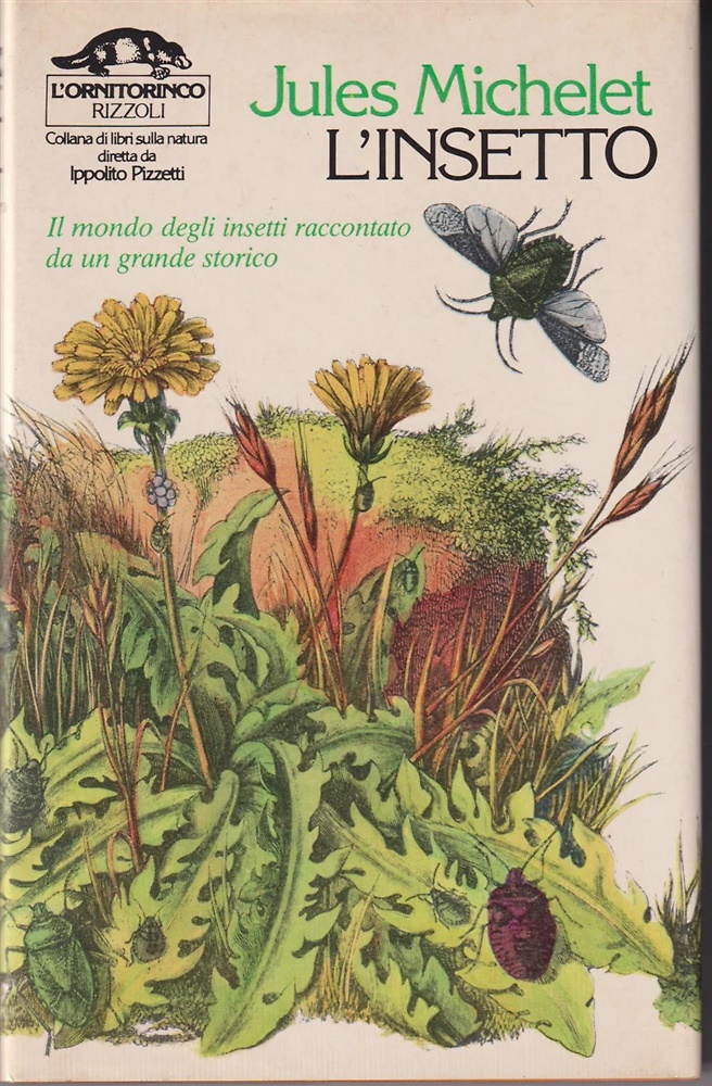 L'insetto. Il mondo degli insetti raccontato da un grande storico.