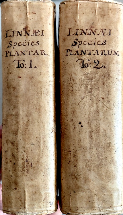 Species plantarum : exhibentes plantas rite cognitas, ad genera relatas, cum dif
