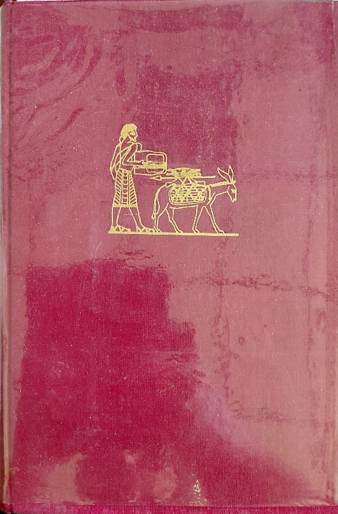 La Bibbia aveva ragione.