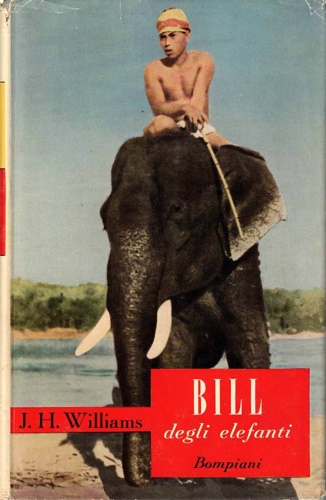 Bill degli elefanti.