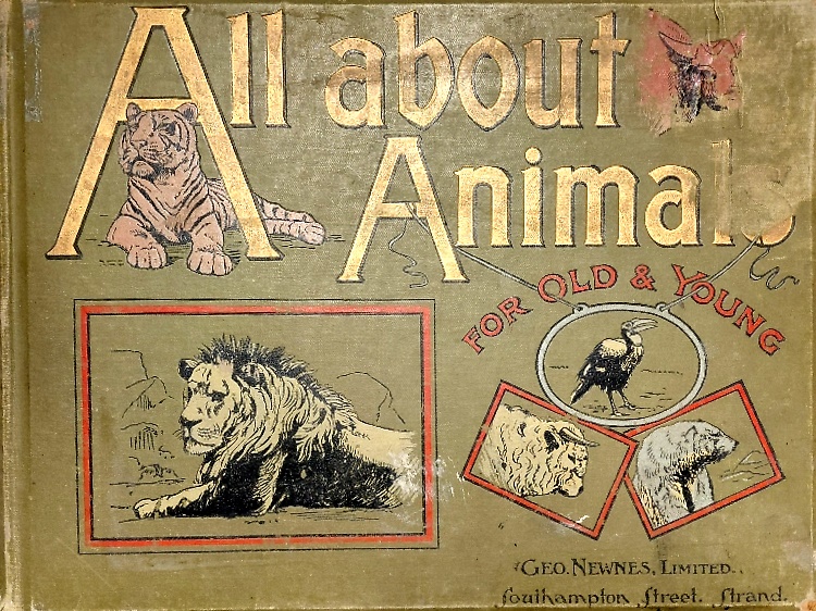 All about Animals, for Old and Young. Popular, Interesting, Amusing.