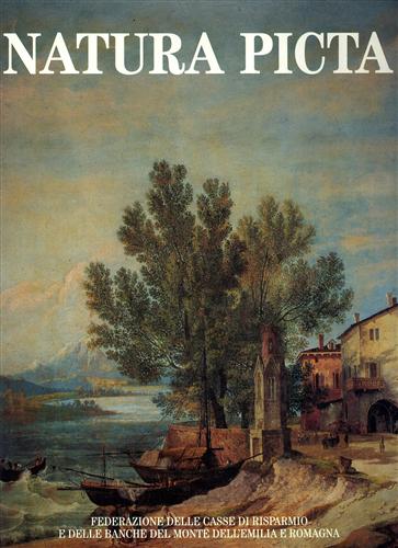 Natura picta. Paesaggio e immagini dell' Emilia Romagna nelle arti figurative, n