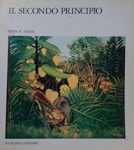 9788808053381-Il secondo principio.