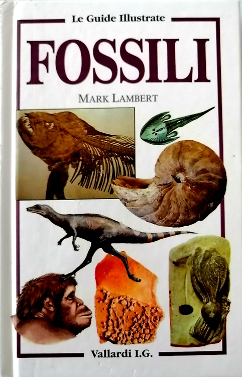 9788876960475-I fossili.