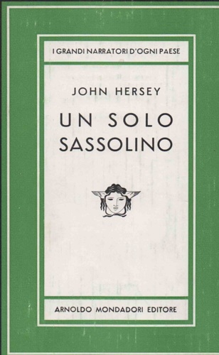 Un solo sassolino. Romanzo.