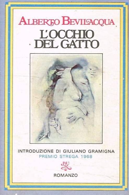 L'occhio del gatto.