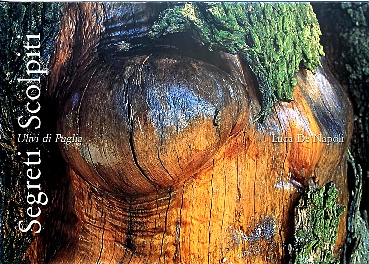 9788888312019-Segreti scolpiti. Ulivi di Puglia.