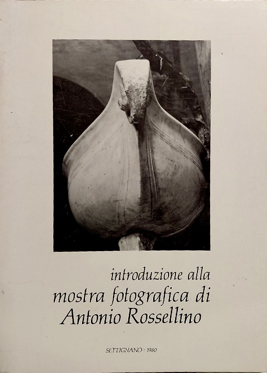 Introduzione alla mostra fotografica di Antonio Rossellino.