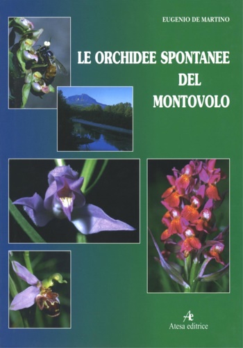 Le orchidee spontanee del Montovolo.