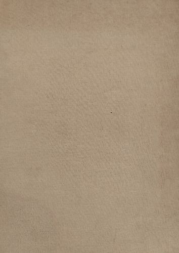 Humanism and Tyranny. Studies in the Italian Trecento.