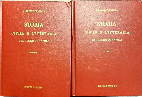 Storia civile e letteraria del Regno di Napoli. Cioè dalla decadenza dell'impero