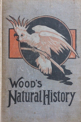 Wood's Natural History.