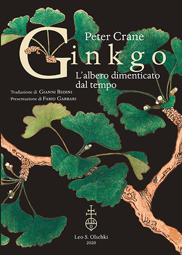 9788822266811-Ginkgo.