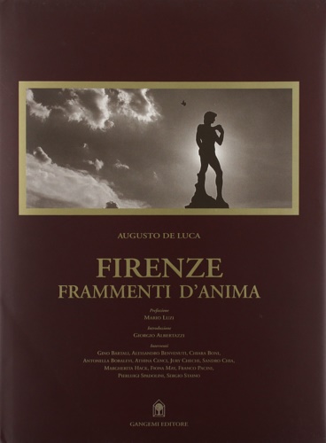 9788874488421-Firenze. Frammenti d'anima.