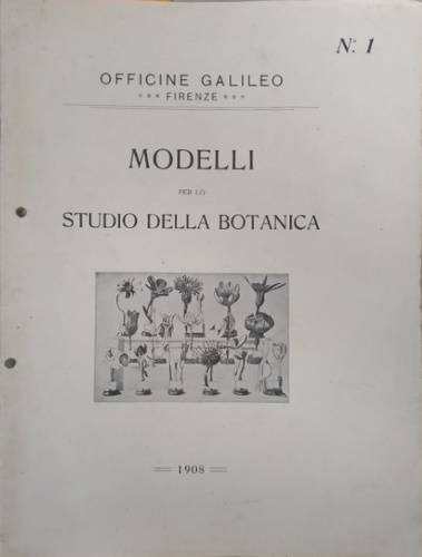 Modelli per lo studio della botanica.