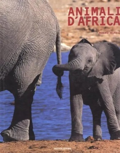 9788843581627-Animali d'Africa.