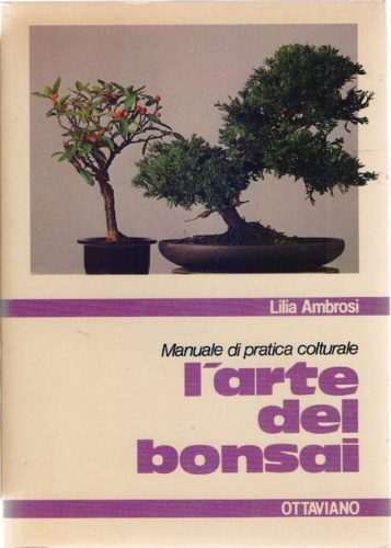 L'arte del bonsai.