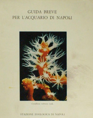 Guida breve per l'acquario di Napoli.