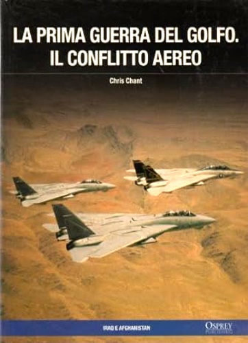 La prima guerra del Golfo. Il conflitto aereo.